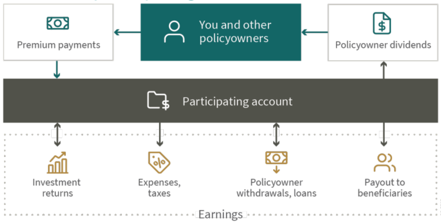 Participating Life Insurance