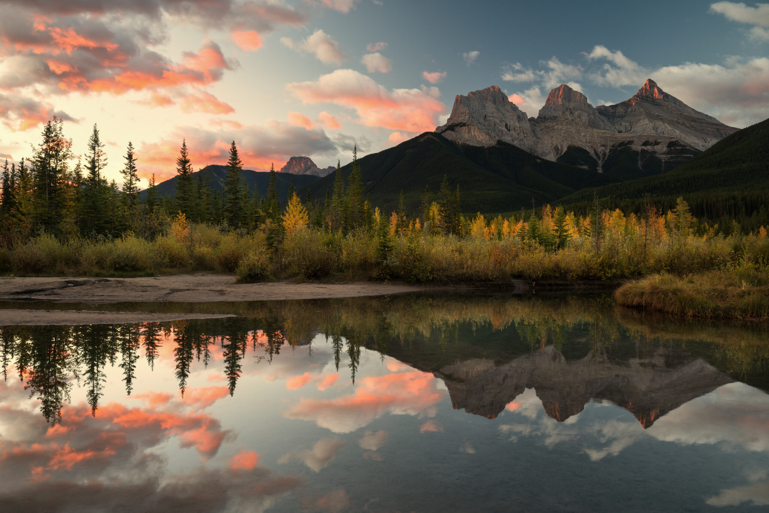 Insurance and Protection